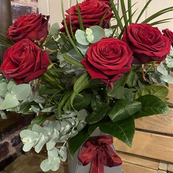 A Dozen Red Roses 