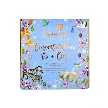 Holdsworth It's a Boy 110g