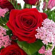 A Valentine's Day florist choice bouquet