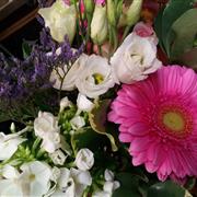 Florist Choice Dog and Cat friendly bouquet