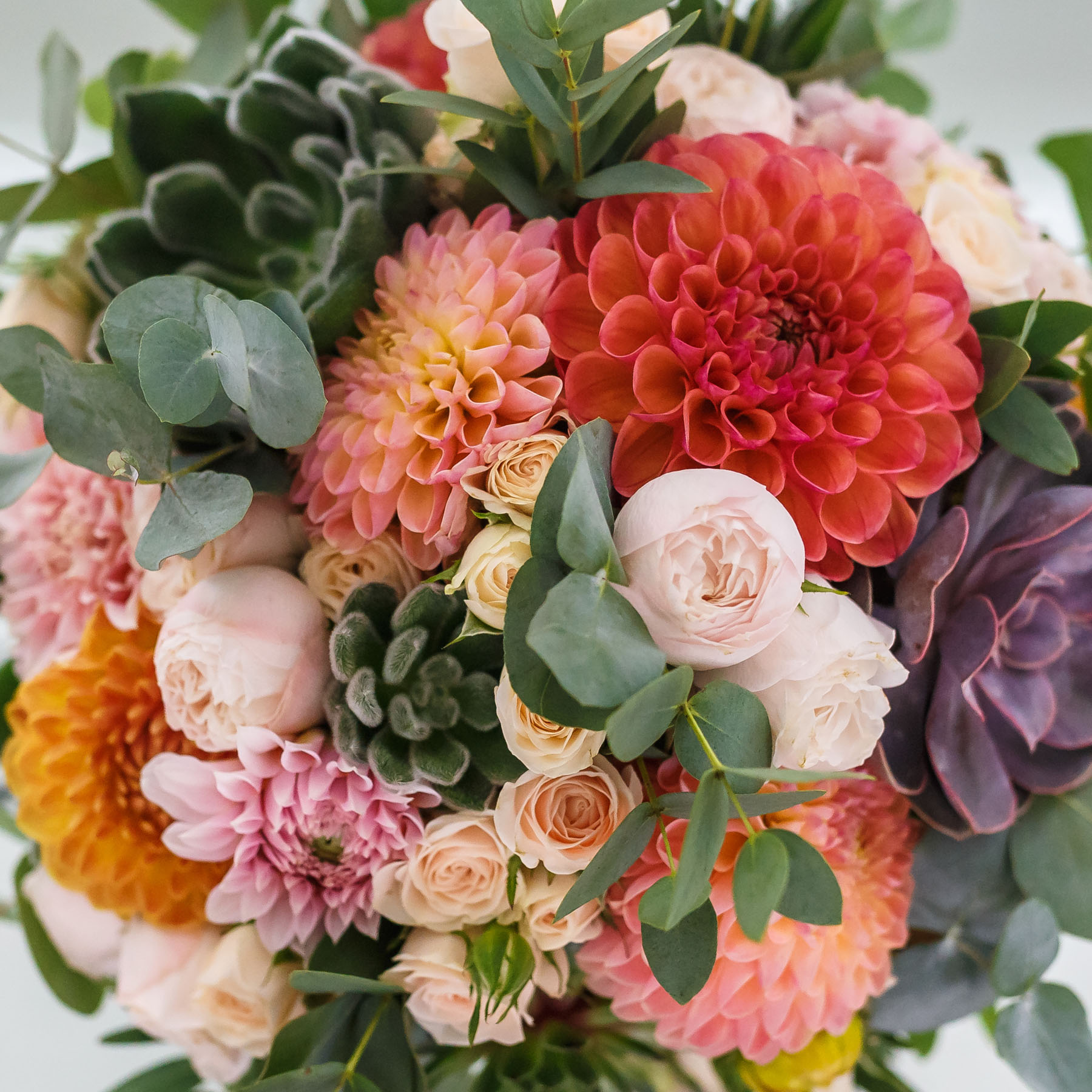 Garlands Florist Edinburgh Order Online or 0131 556 6111