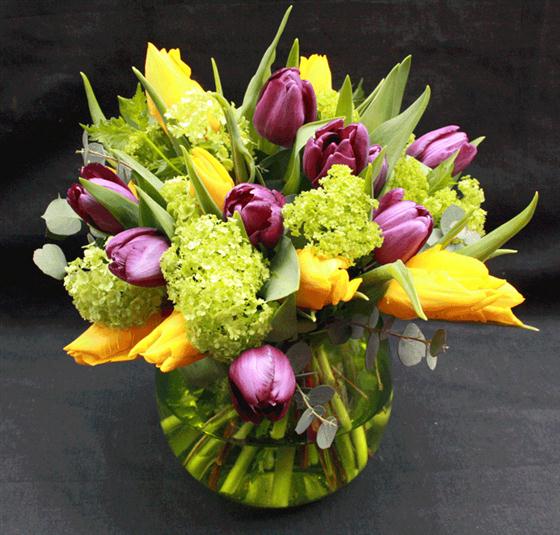 Mixed Tulip Vase Garlands Florist Edinburgh