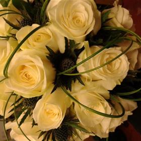 fwthumb20131006_103348.jpg