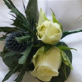 fwthumb20150523_110211.jpg