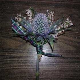 fwthumbWP_001270.jpg
