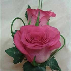 fwthumb20131006_090834.jpg