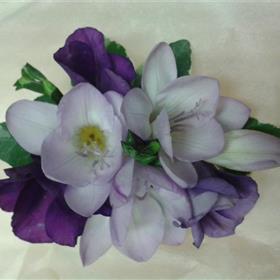 fwthumb20131006_090912.jpg